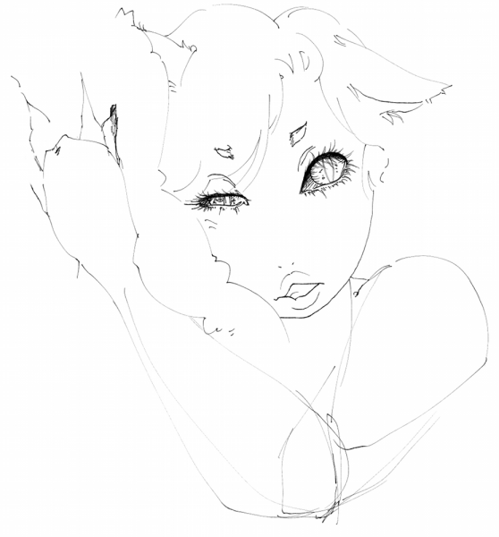 猫20100807